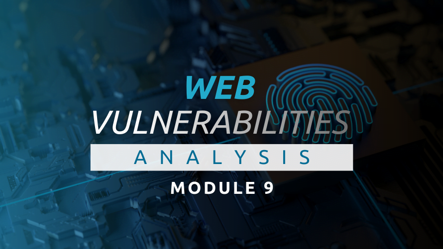 web vulnerabilities